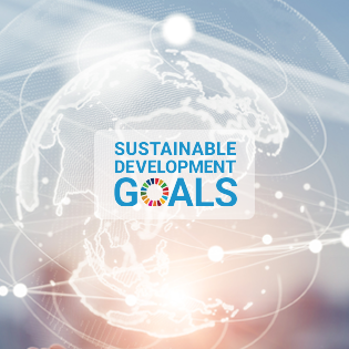 sdgs